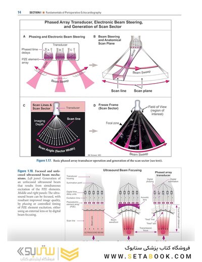 Savage & Aronson's Comprehensive Textbook of Perioperative and Critical Care Echocardiography