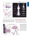 Savage & Aronson's Comprehensive Textbook of Perioperative and Critical Care Echocardiography