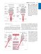 Savage & Aronson's Comprehensive Textbook of Perioperative and Critical Care Echocardiography