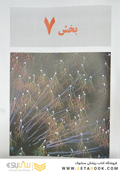مبانی علوم اعصاب کندل 2021 جلد ششم (فصول 45 تا 51 )