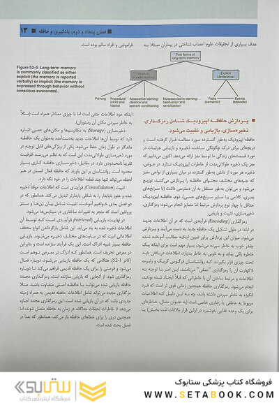 مبانی علوم اعصاب کندل 2021 جلد هفتم (فصول 52 تا 64)