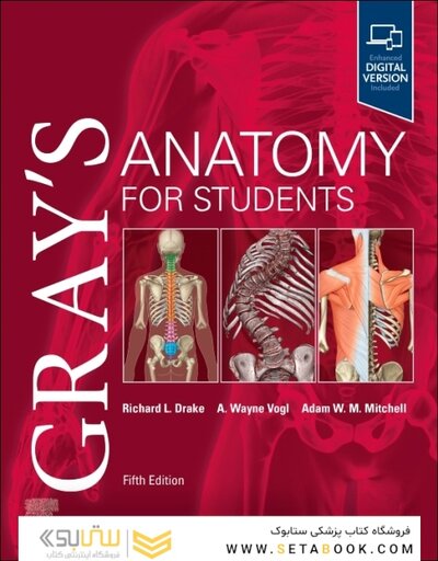 Gray’s Anatomy for Students 5th Edition 2024