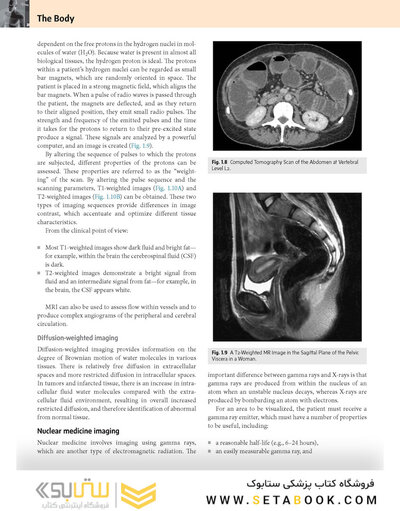 Gray’s Anatomy for Students 5th Edition 2024