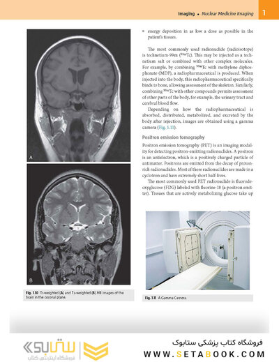 Gray’s Anatomy for Students 5th Edition 2024