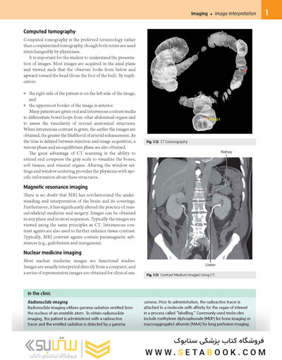 Gray’s Anatomy for Students 5th Edition 2024
