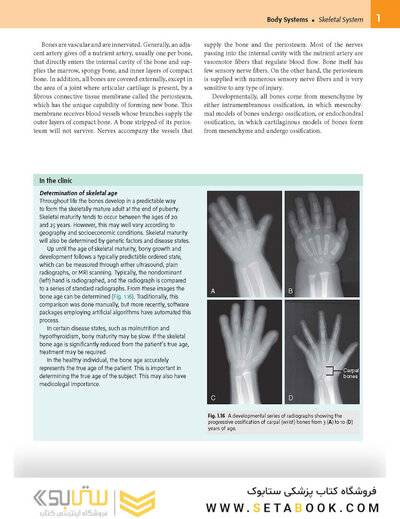 Gray’s Anatomy for Students 5th Edition 2024