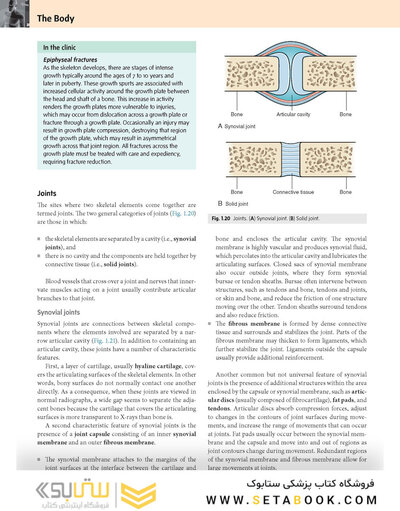 Gray’s Anatomy for Students 5th Edition 2024