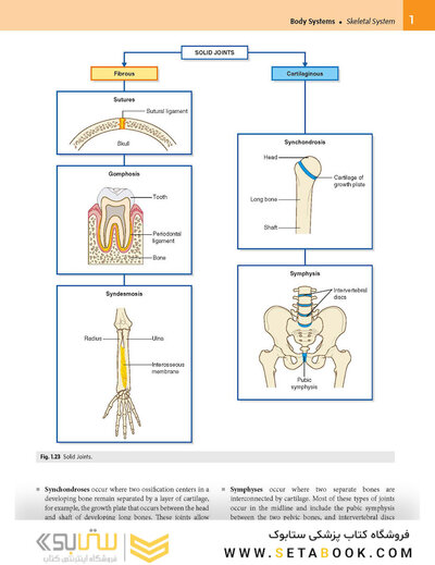 Gray’s Anatomy for Students 5th Edition 2024