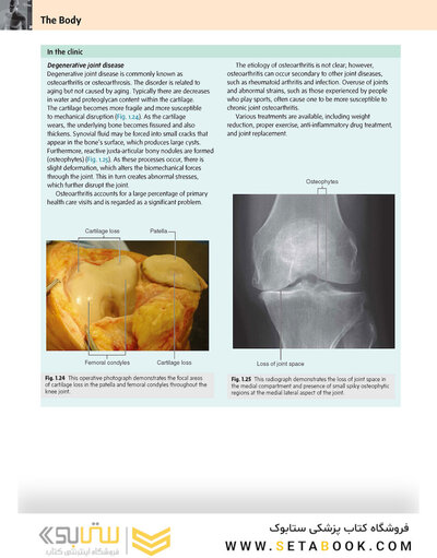 Gray’s Anatomy for Students 5th Edition 2024