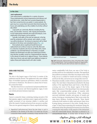 Gray’s Anatomy for Students 5th Edition 2024