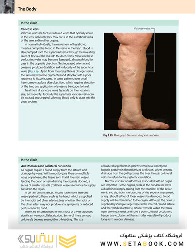 Gray’s Anatomy for Students 5th Edition 2024