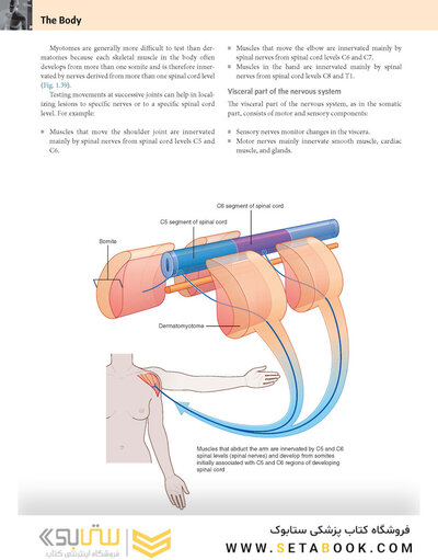 Gray’s Anatomy for Students 5th Edition 2024