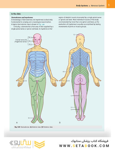 Gray’s Anatomy for Students 5th Edition 2024