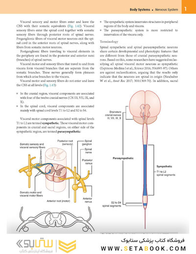 Gray’s Anatomy for Students 5th Edition 2024