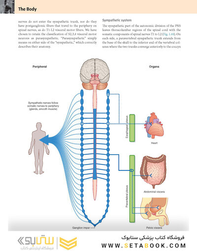 Gray’s Anatomy for Students 5th Edition 2024