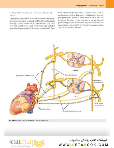 Gray’s Anatomy for Students 5th Edition 2024