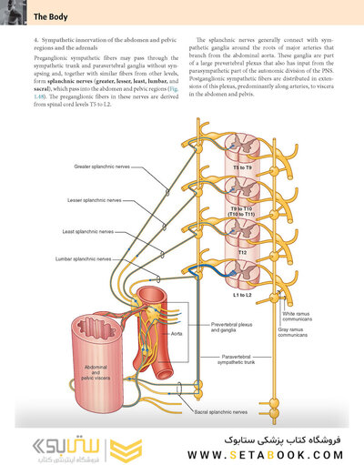 Gray’s Anatomy for Students 5th Edition 2024