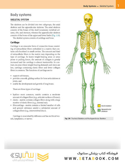 Gray’s Anatomy for Students 5th Edition 2024