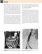 Gray’s Anatomy for Students 5th Edition 2024