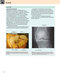 Gray’s Anatomy for Students 5th Edition 2024