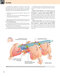 Gray’s Anatomy for Students 5th Edition 2024