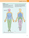 Gray’s Anatomy for Students 5th Edition 2024