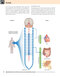 Gray’s Anatomy for Students 5th Edition 2024