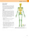 Gray’s Anatomy for Students 5th Edition 2024