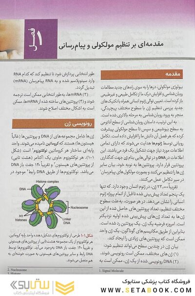 جنین  شناسی پزشکی لانگمن 2024
