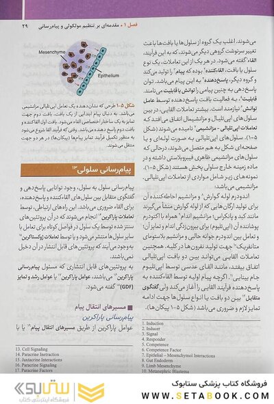 جنین  شناسی پزشکی لانگمن 2024