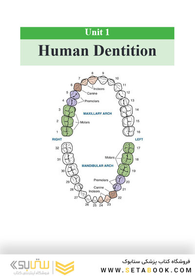 English for the students of Dentistry (volume 1)