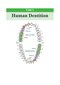 English for the students of Dentistry (volume 1)