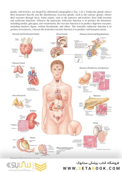 Examination Review for Ultrasound: Abdomen and Obstetrics & Gynecology Third Edition