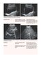 Examination Review for Ultrasound: Abdomen and Obstetrics & Gynecology Third Edition