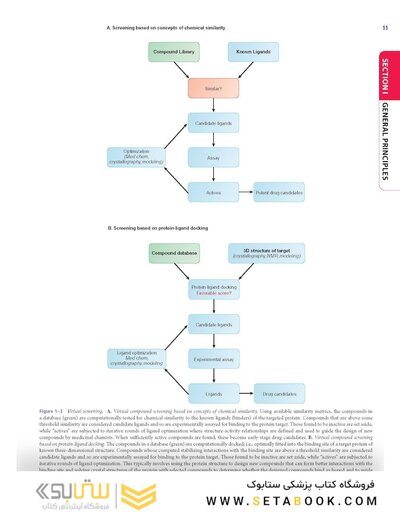 Goodman and Gilman's The Pharmacological Basis of Therapeutics, 14th Edition 2023
