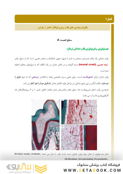 بسته آموزشی اندودانتیکس ترابی نژاد 2021 جلد 1 و 2  همراه با فیلم آموزشی