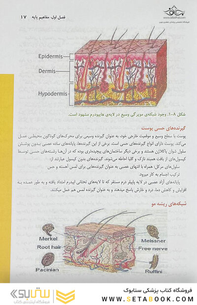 وکیوم تراپی ازتئوری تا بالین