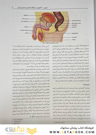 اصول و روش های عملی تکنیک های کمک باروری ناباروری رائو 3 جلدی
