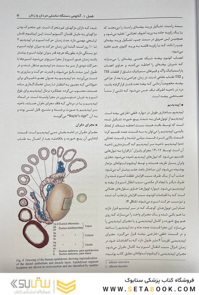 اصول و روش های عملی تکنیک های کمک باروری ناباروری رائو 3 جلدی