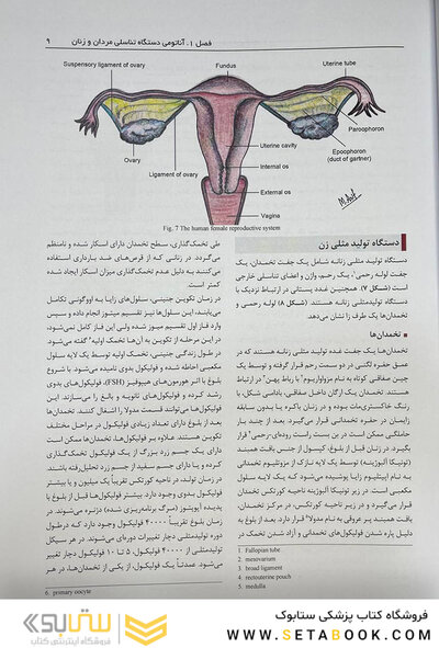اصول و روش های عملی تکنیک های کمک باروری ناباروری رائو 3 جلدی