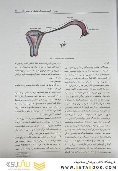 اصول و روش های عملی تکنیک های کمک باروری ناباروری رائو 3 جلدی