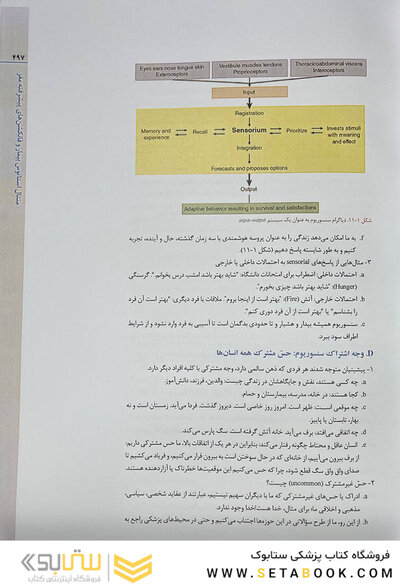 معاینات نورولوژی دی مایر 3 جلدی