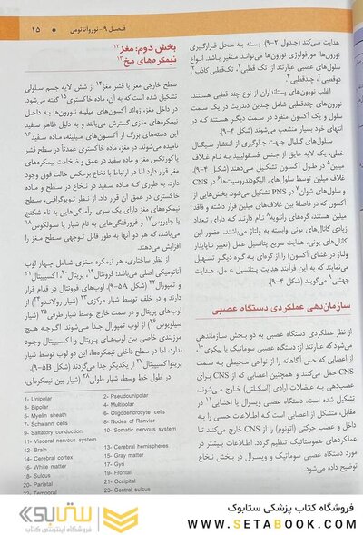 نوروآناتومی گری برای دانشجویان 2024 جلد چهارم