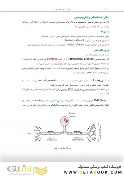 بسته آموزشی بی حسی موضعی مالامد 2019