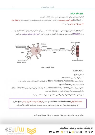 بسته آموزشی بی حسی موضعی مالامد 2019
