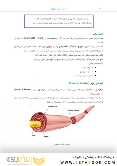 بسته آموزشی بی حسی موضعی مالامد 2019