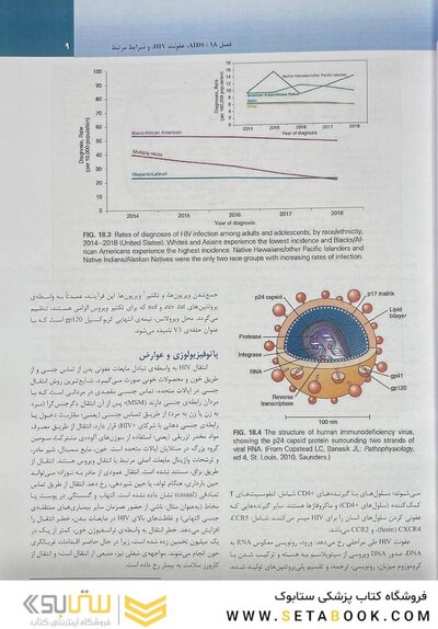 درمان دندانپزشکی فالاس 2024 جلد دوم