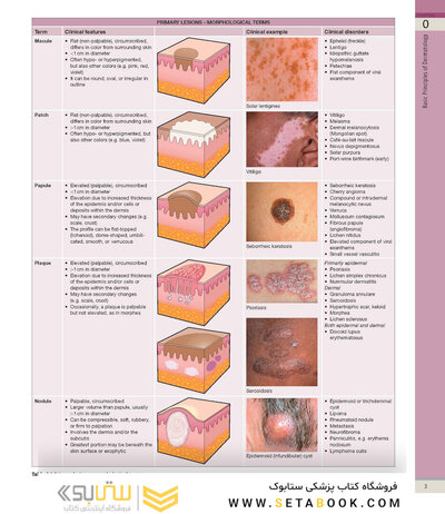 Dermatology, 5th Edition 2025