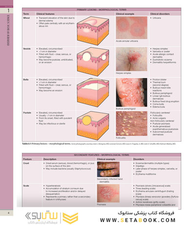 Dermatology, 5th Edition 2025