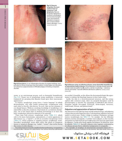 Dermatology, 5th Edition 2025